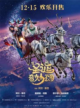 圣诞奇妙公司简介