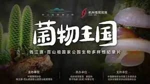 菌物王国百度网盘资源