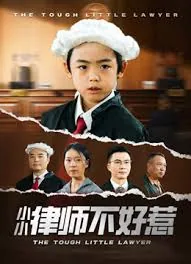 律师不好惹短剧