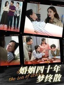婚姻四十年梦终散短剧合集