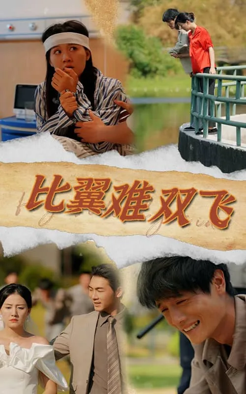 比翼双非