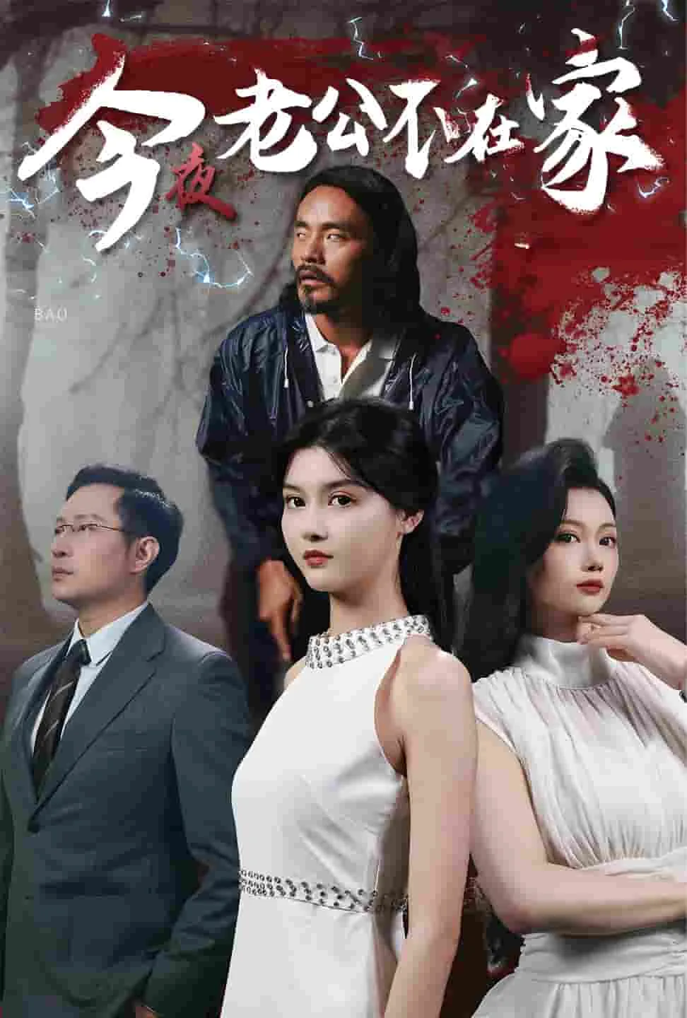 老公今晚不回家