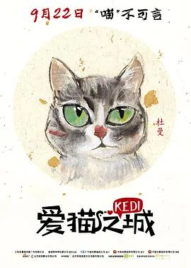 爱猫之城是哪个城市