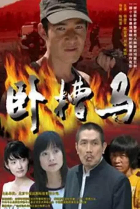 卧槽马陈刚小说
