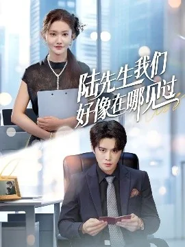 陆先生我们好像在哪见过英文翻译