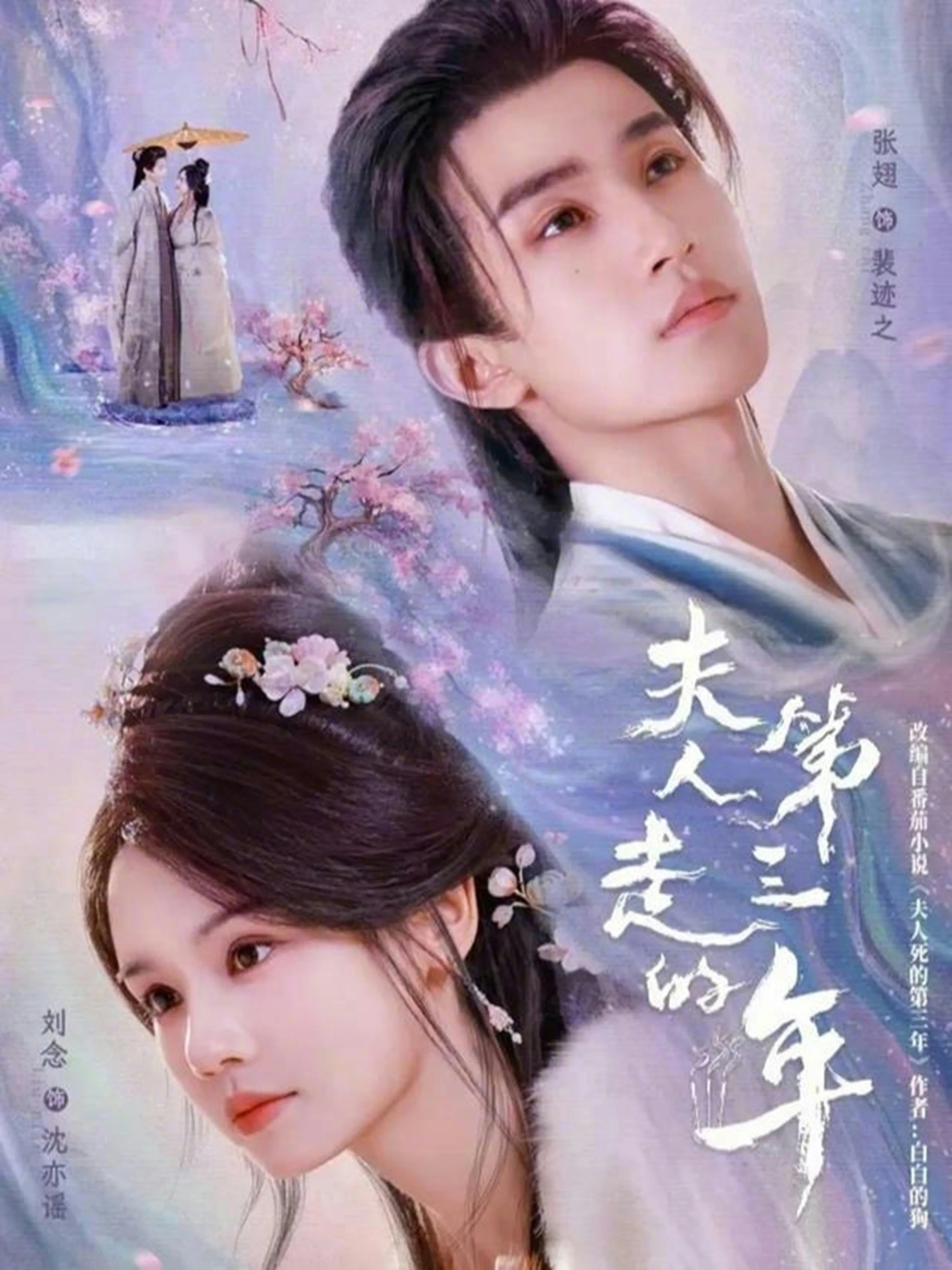 夫人走的第三年什么时候上线
