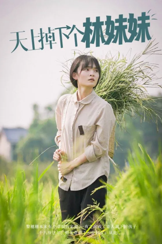 天上掉下个林妹妹绝对演绎歌词