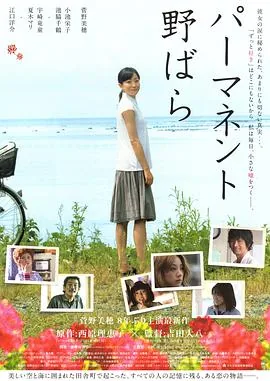 常开野蔷薇钢琴曲