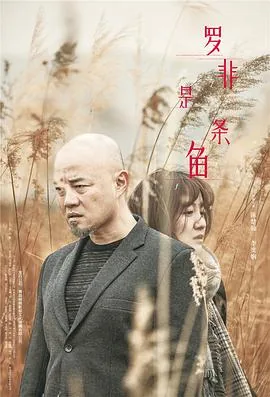罗非是条鱼剧情解析