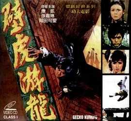 壁虎游龙电影