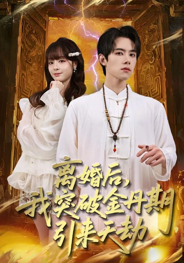 刚离婚我突破金丹期引来天劫林北