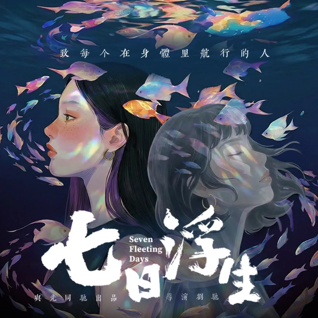 七日浮生短剧