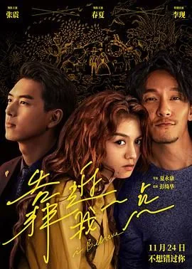 靠近我一点月见微讲的是什么