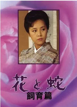 花与蛇讲的什么意思