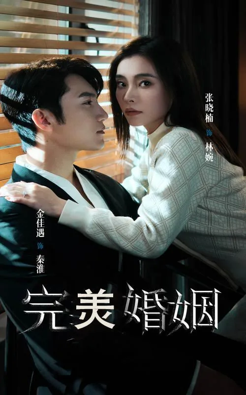 完美婚姻by兰思思讲什么