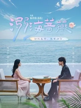 溺海蔷薇
