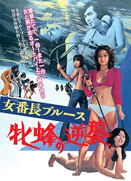女番长布鲁斯复仇