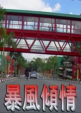 暴风情事