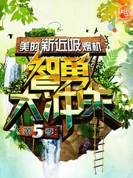 智勇大冲关 第五季