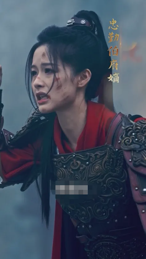 将军夫人不好惹电视剧全集免费观看下载