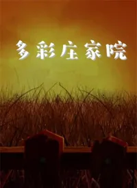 多彩庄家院吴婶扮演者叫什么名字