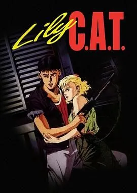灵猫cat