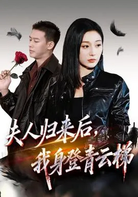 夫人归来后我身登青云梯免费观看