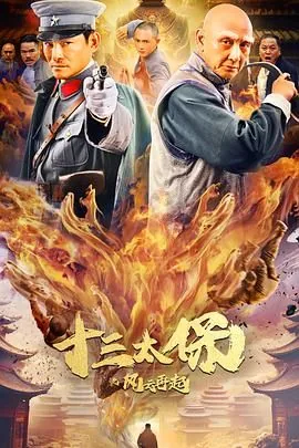 十三太保之风云再起星辰影院