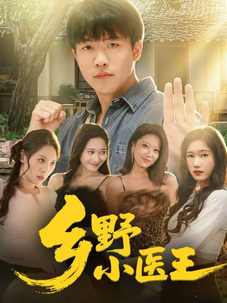 乡野小医王小说
