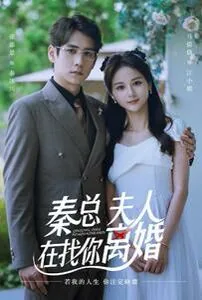 秦总夫人在找你离婚免费65集