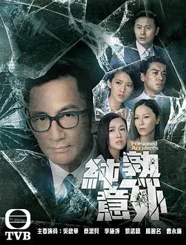 再爱纯属意外