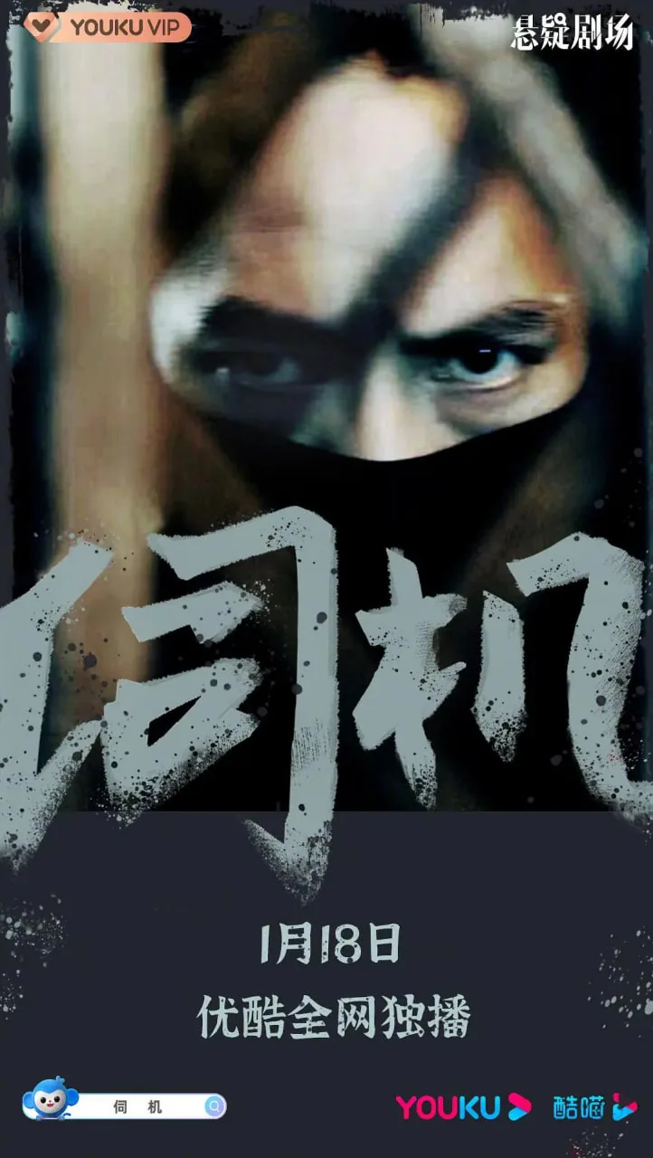 伺机怎么读