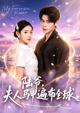 陆爷,夫人马甲遍布全球的小说