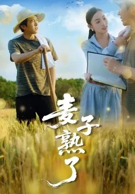 麦子熟了品牌是什么档次