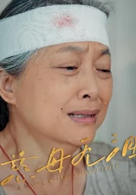 慈母泪什么意思