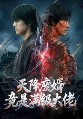 天降废婿竟是满级大佬免费全集