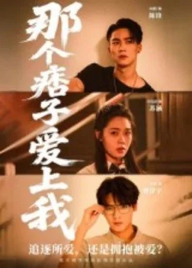 那个痞子爱上我百度百科