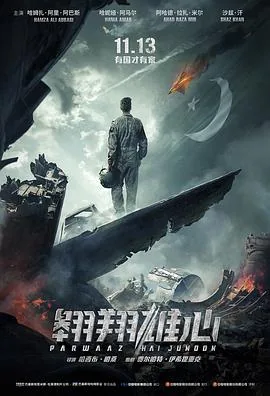翱翔雄心国语在线观看