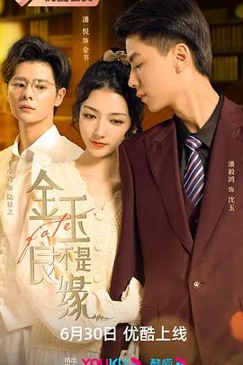 金玉不是良缘 电视剧策驰影院免费观看
