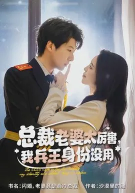 总裁老婆太厉害,我兵王身份没用怎么办