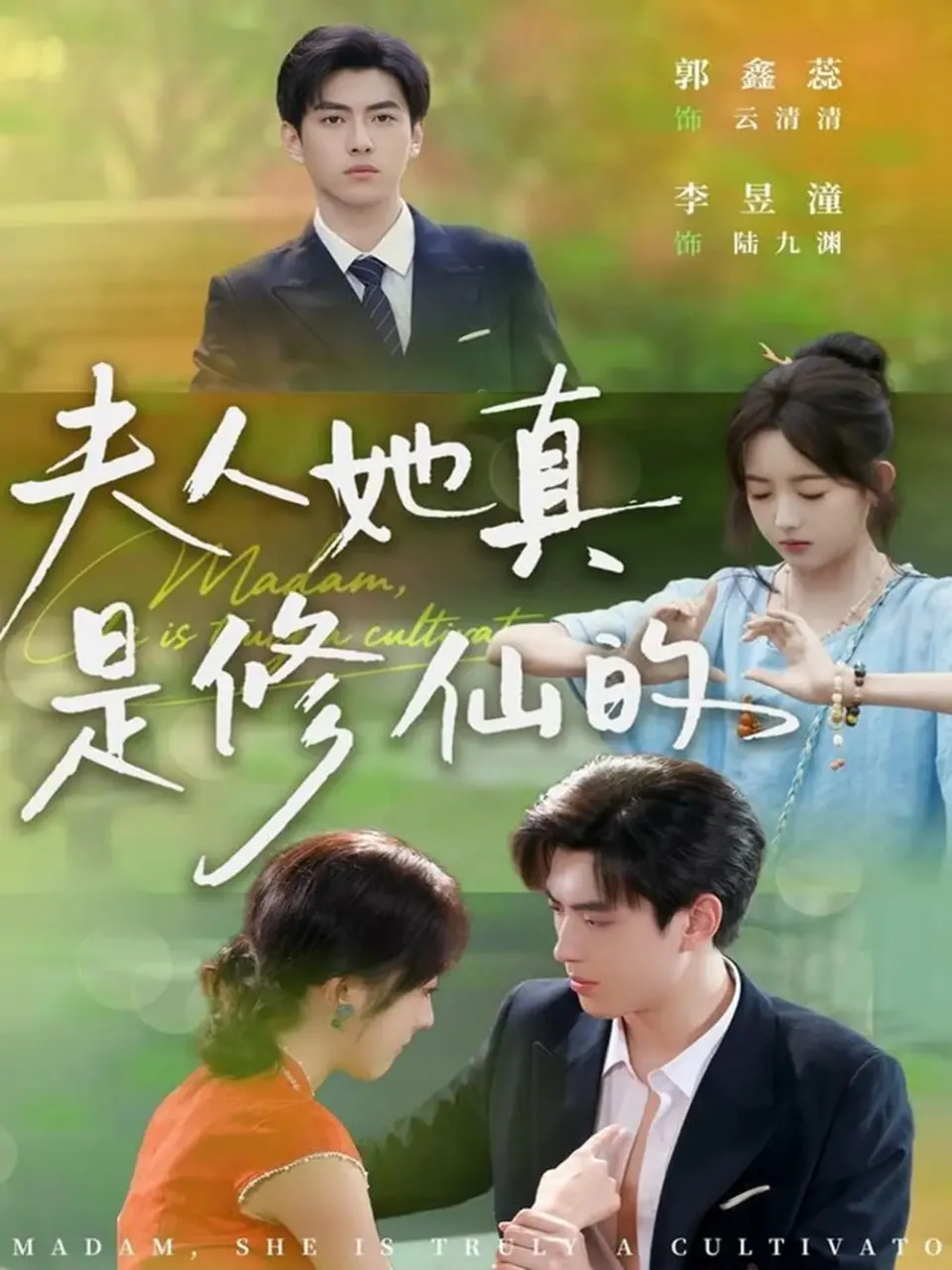 夫人她真是修仙的类型小说