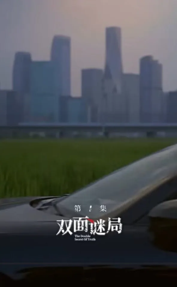 双面婚姻全文阅读
