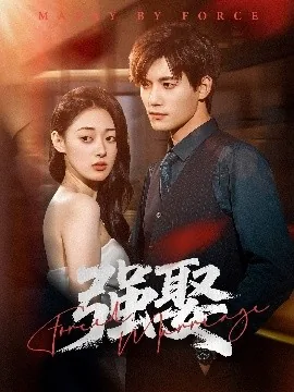 强娶小说傅渝