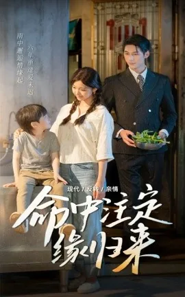 命中注定缘归来短剧大结局