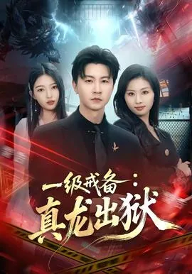 一级戒备真龙出狱第二季