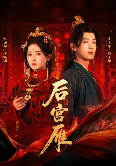 后宫雁男女主角是谁