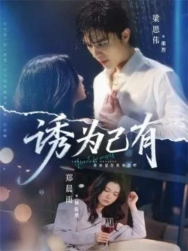 诱为己有小说主要内容