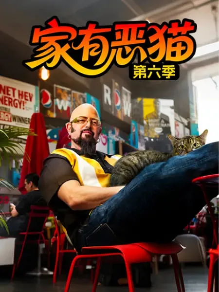 家有恶猫第一季