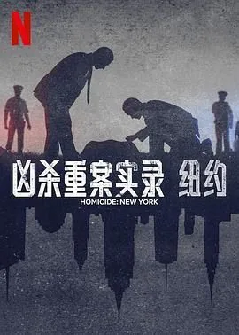 凶杀重案实录纽约篇