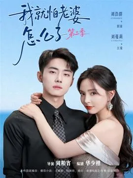 我就怕老婆怎么了第二季剧情介绍
